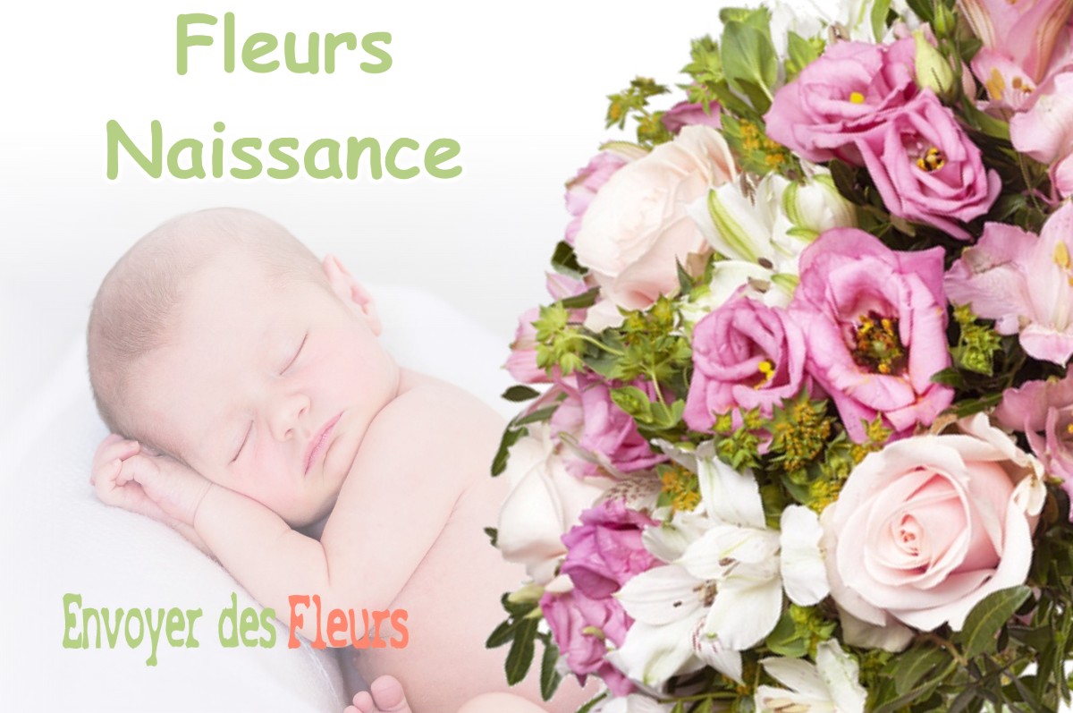 lIVRAISON FLEURS NAISSANCE à URGONS